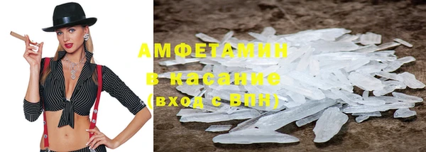 стаф Алзамай