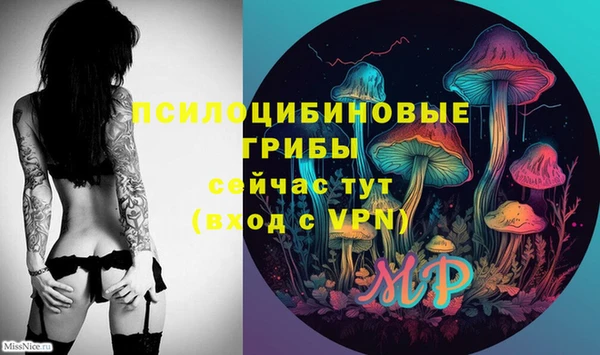 стаф Алзамай