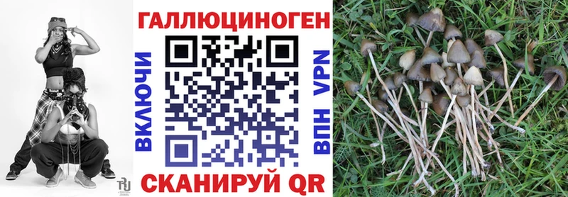 Галлюциногенные грибы мухоморы  Томск 