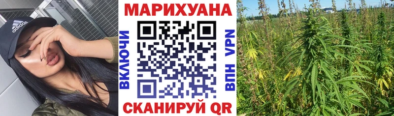 Бошки марихуана SATIVA & INDICA Томск